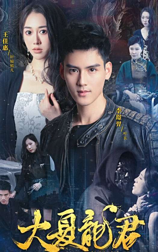 大夏龙君(全集)