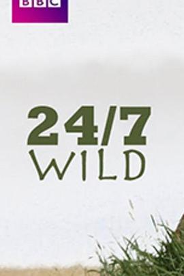 全天候野生动物追踪(全集)