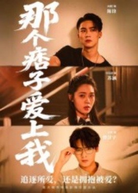 那个痞子爱上我(全集)