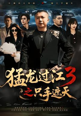 猛龙过江3之只手遮天(全集)