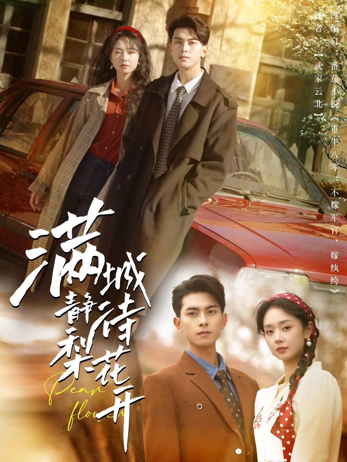 满城静待梨花开(全集)