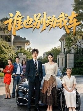谁也别动我车(全集)